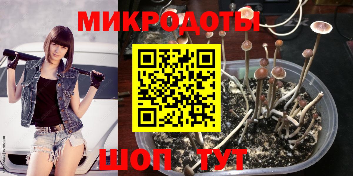 Псилоцибиновые грибы прущие грибы Шатура